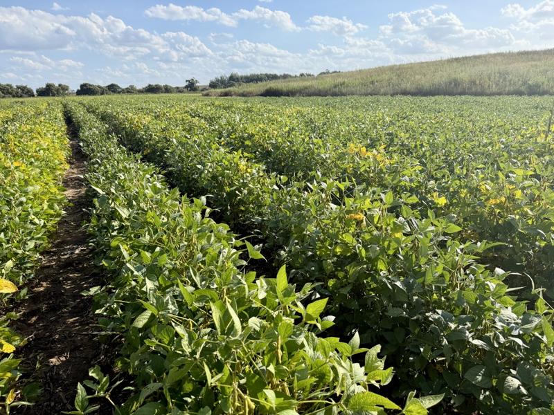 0 Bedroom Property for Sale in Harrismith Free State